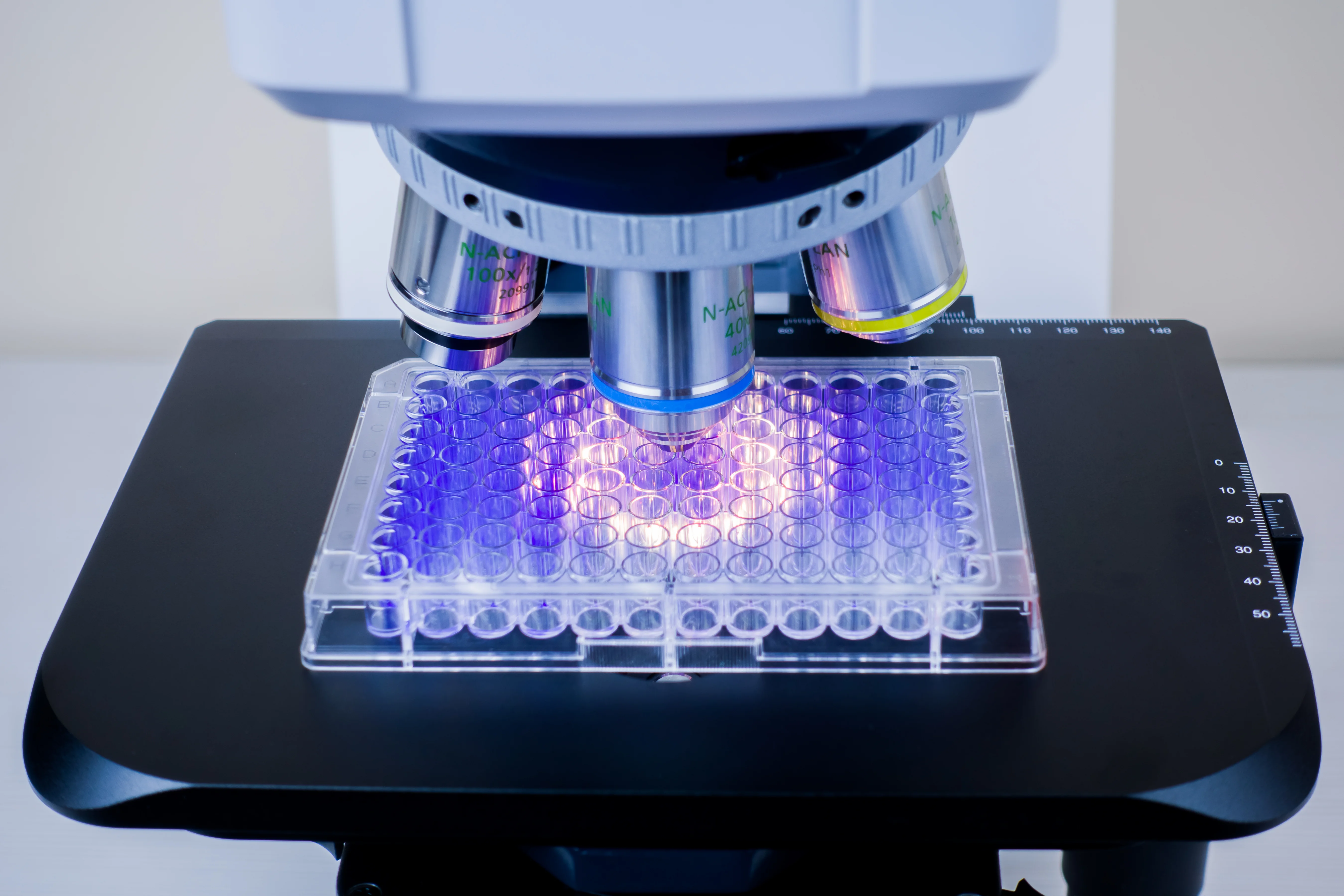 Labor microscope analyzing a multiwell plate with illuminated samples