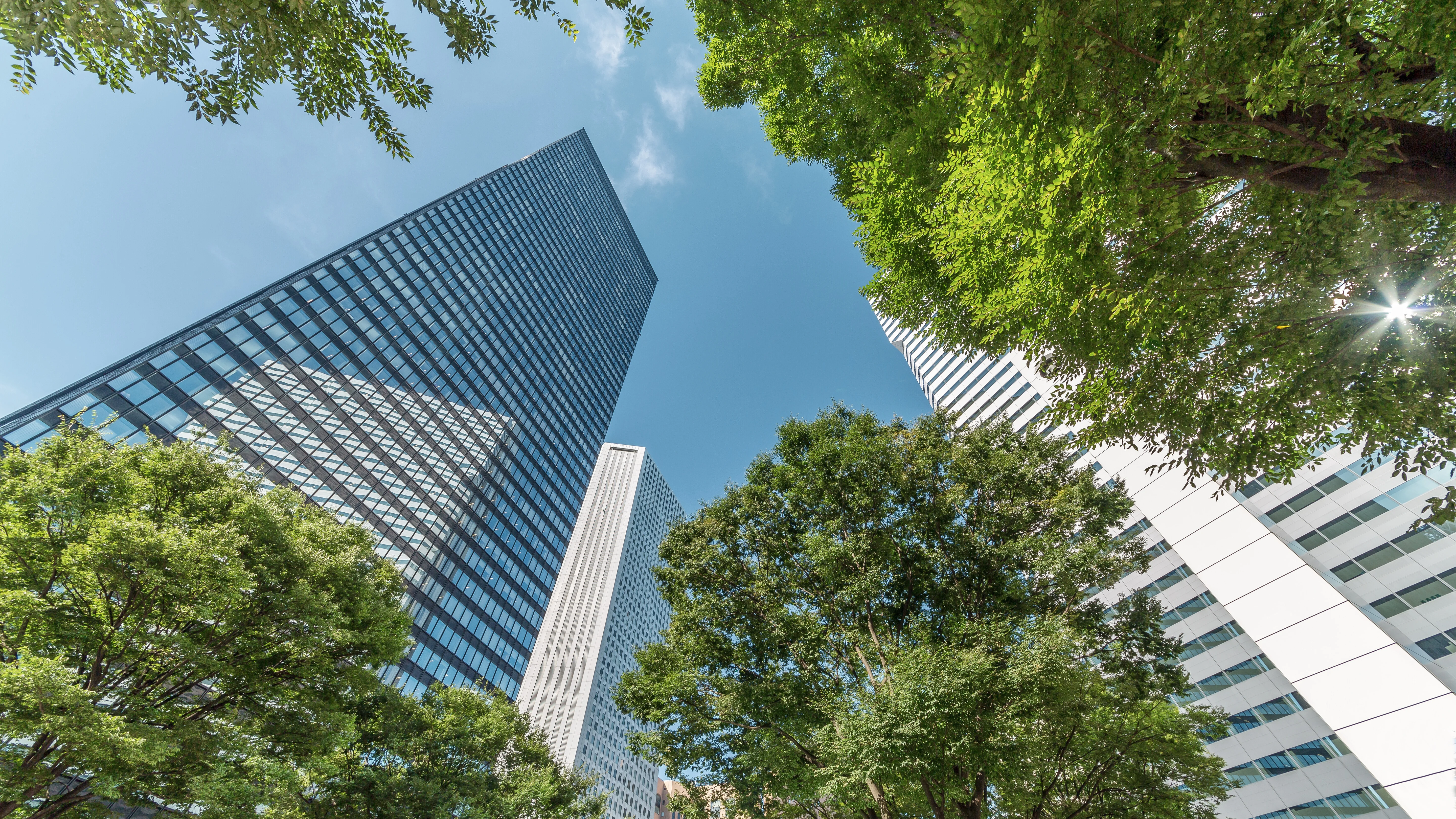 Modern skyscrapers framed by green trees against a clear sky